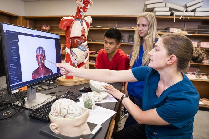 Students study regional human anatomy with a physical and digital model with a lecturer.