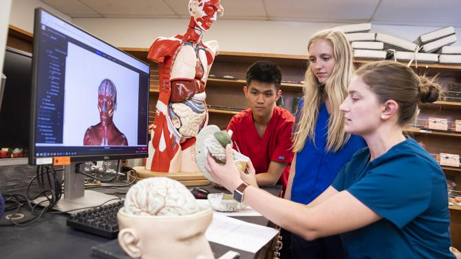 Students work in the anatomy lab.