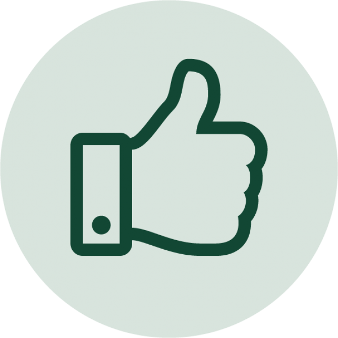 Icon of the like thumbs up.