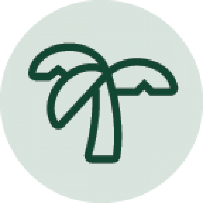 Icon of a palm tree
