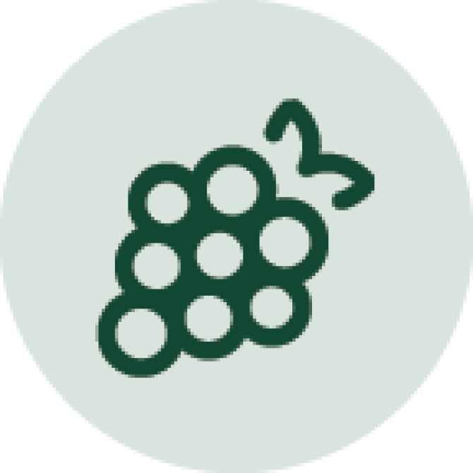 line drawing icon of a bunch of grapes