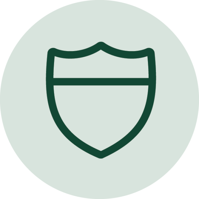 Icon for a shield