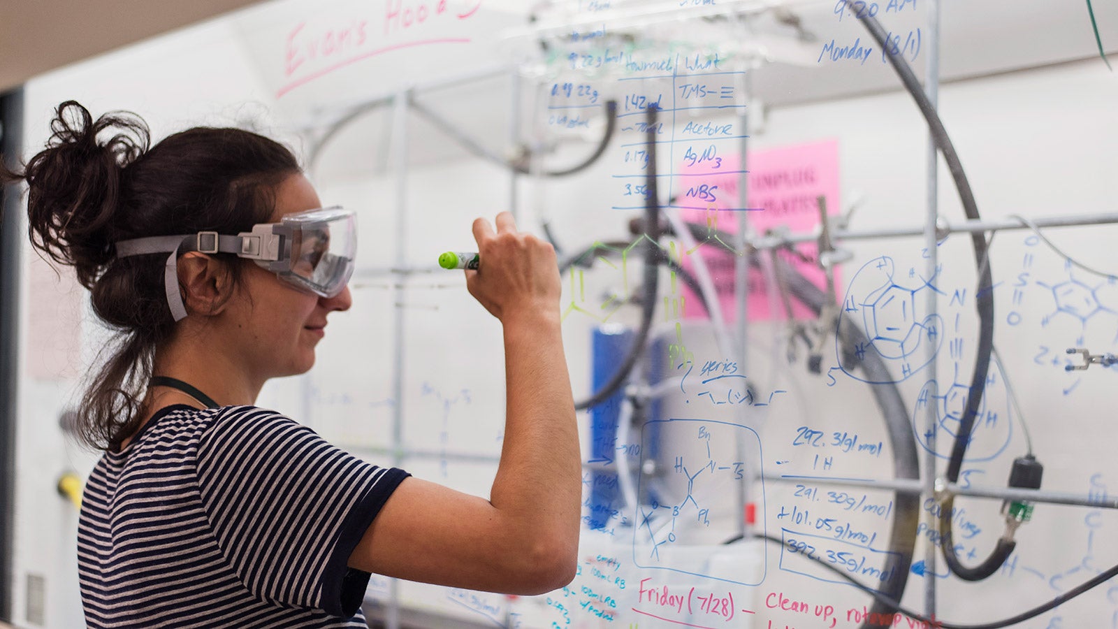 Science Poly Student Bailey College of Science and Mathematics | Cal Poly