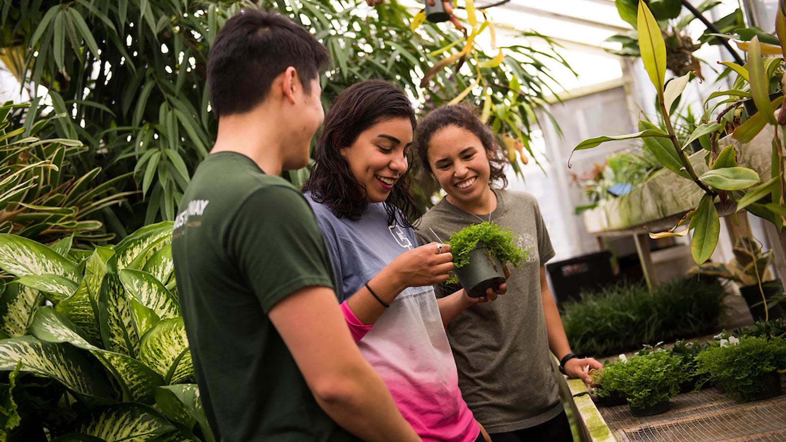 Three students inspecting a plant