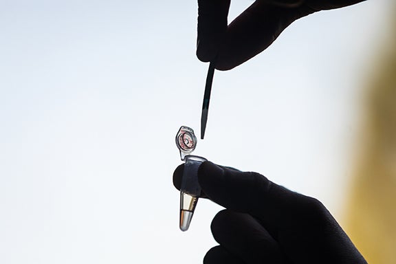 Close-up shot of a saliva-collection stick being inserted into a collection tube.