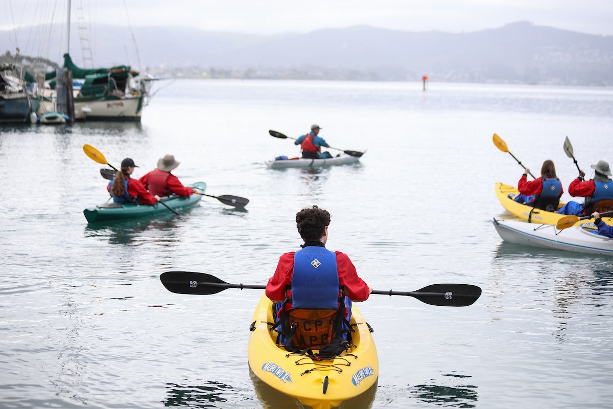Luke Hansen in a kayak on Morro Bay, surrounded by other groups of kayakers.