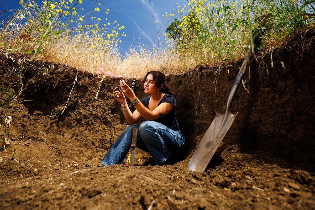A student sits in a pit with a shovel next to them and tall flowering grasses visible at the top, while they inspect soil.