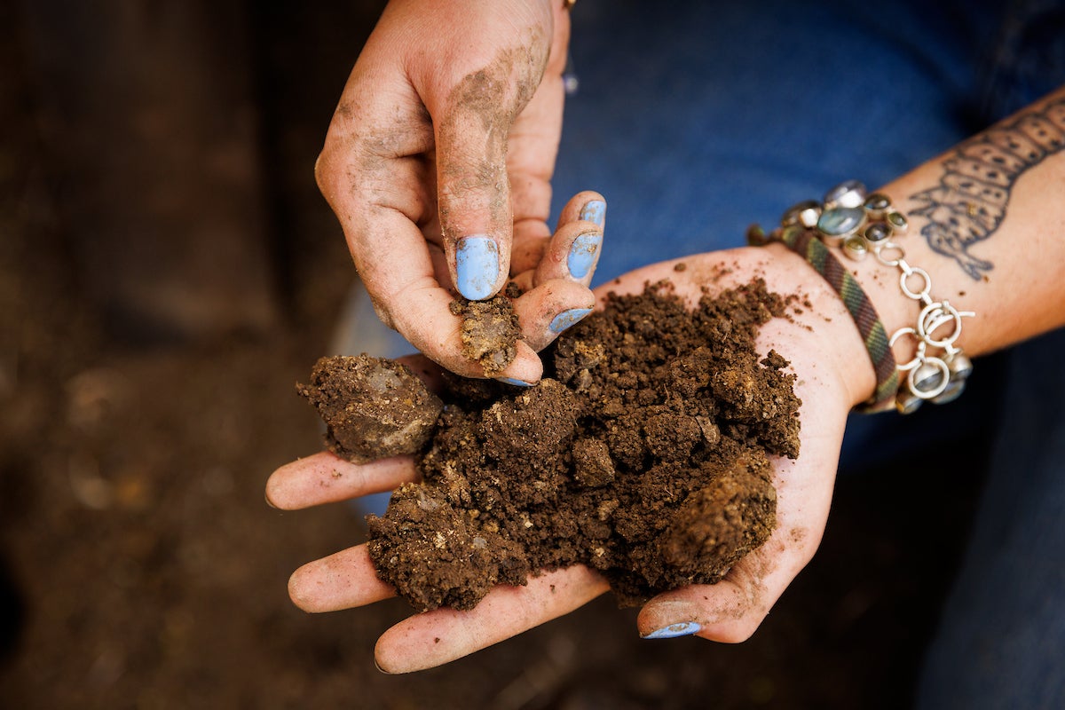 Wildman holds a handful of soil in their hands.