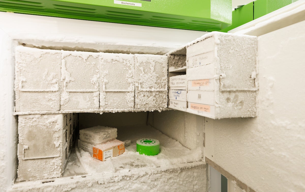 An open freezer compartment shows boxes covered in frost.