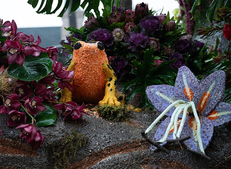 An orange frog surrounded by flora on the float.