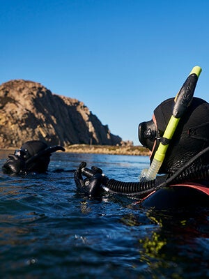 Scuba divers in the ocean