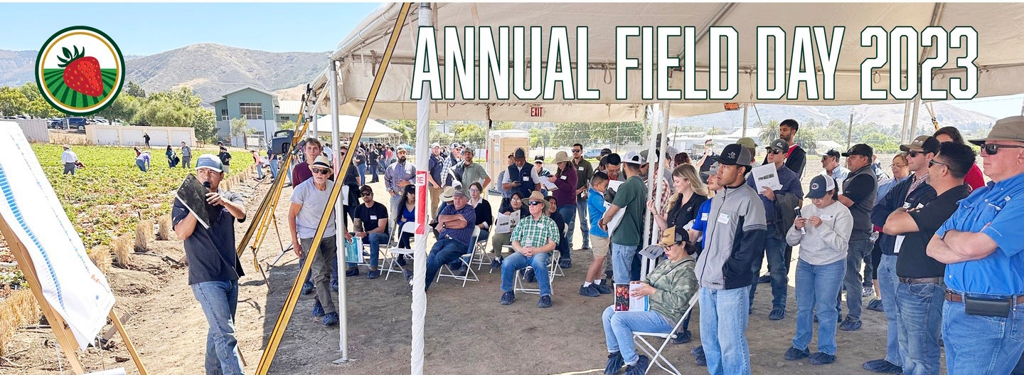 Cal Poly strawberry field is a backdrop to the 2023 Field Day