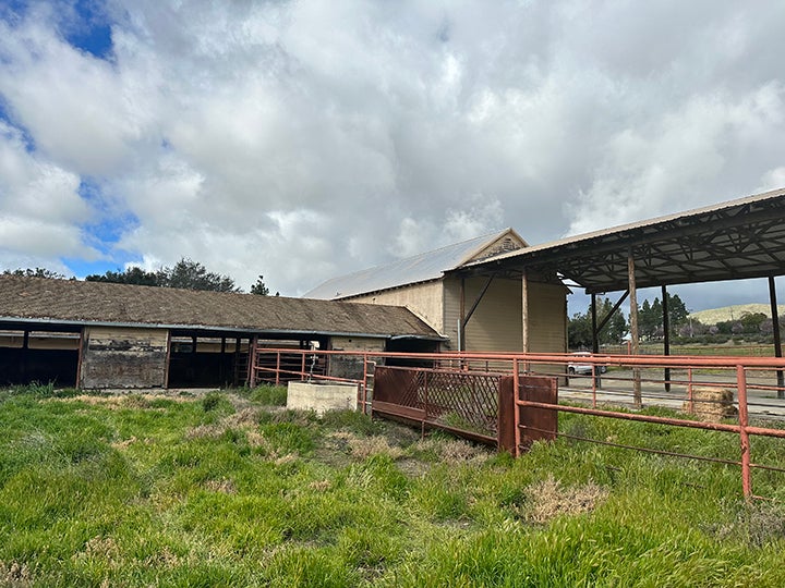 Photo of the dilapidated beef pavilion, including the barn, surrounding pipe stalls and hay barn, located above the parking lots on Via Carta