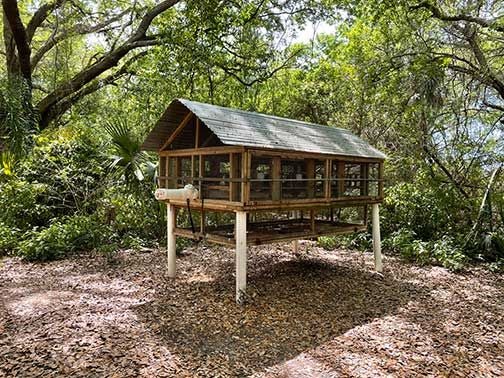 Chicken Coop