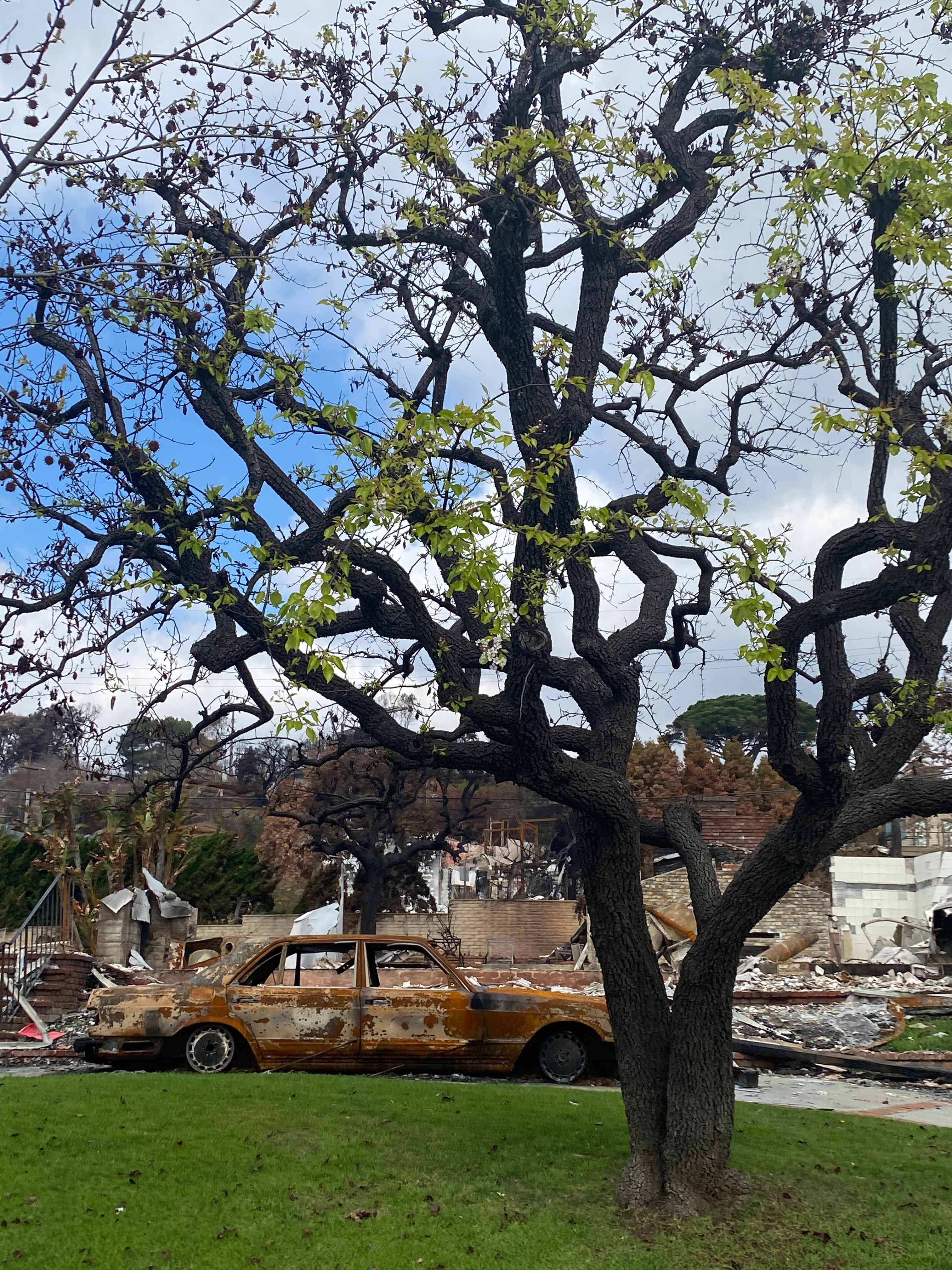 A burned car and buildings in Los Angeles.