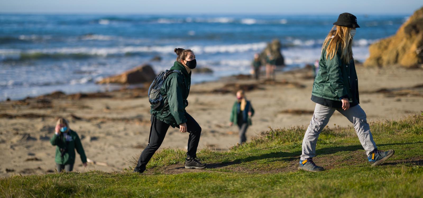 Student researchers walk up a bluff from one of the beaches that make up the Piedras Blancas rookery. NMFS permit #22187-02