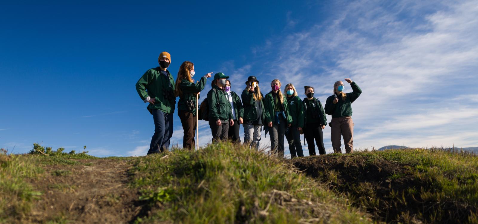 Student researchers with Team Ellie stand on a grassy bluff above the beach as they prepare to survey elephant seals. NMFS permit #22187-02