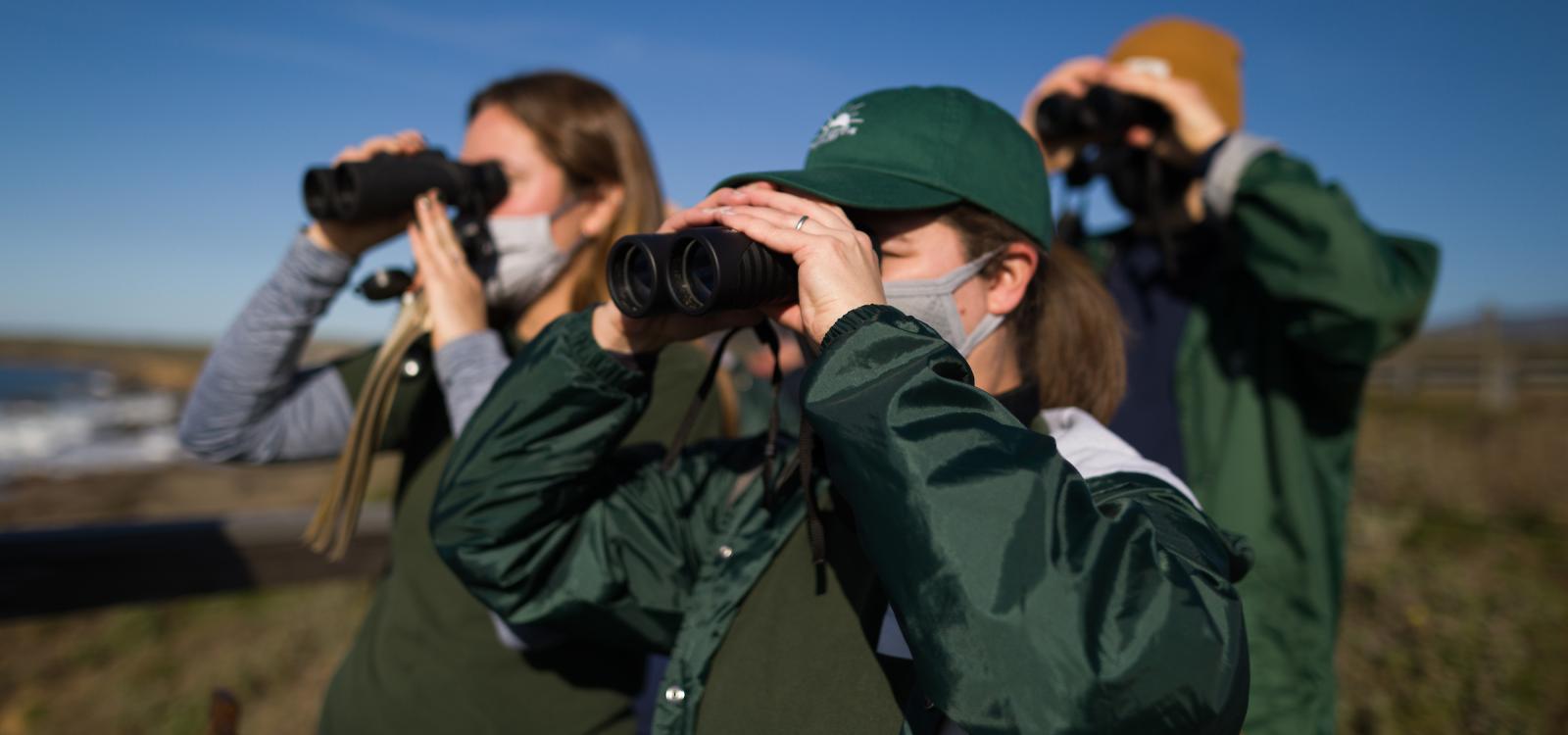 Team Ellie researchers observe elephant seals from the boardwalk at the Elephant Seal Vista Point.