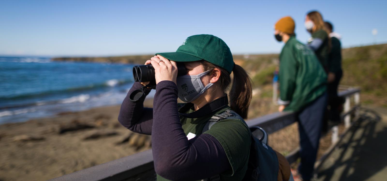 Professor Heather Liwanag uses binoculars to observe elephant seals at the Elephant Seal Vista Point north of Hearst Castle.