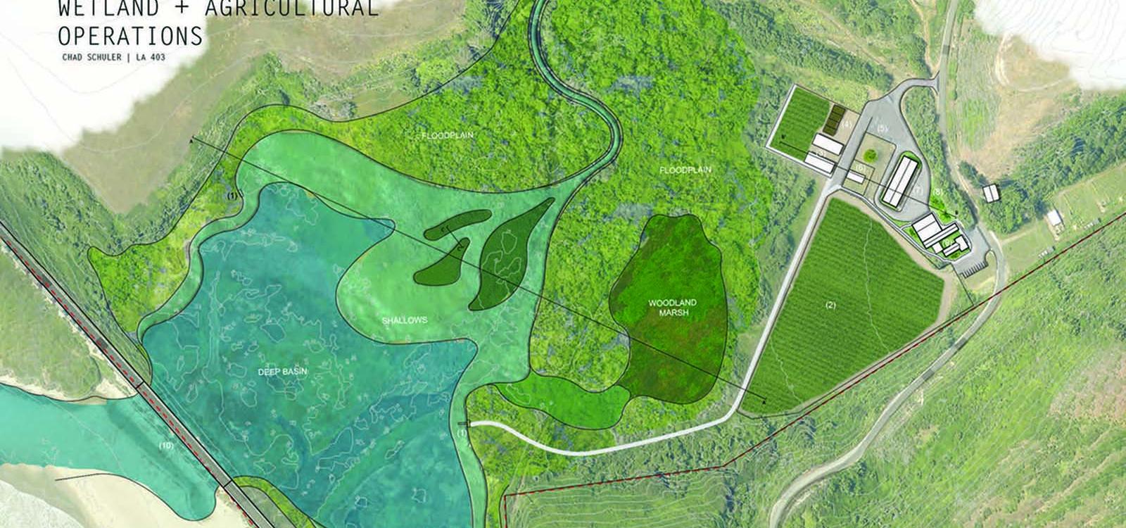 Swanton Ranch adaptive wetland site by Chad Schuler. 