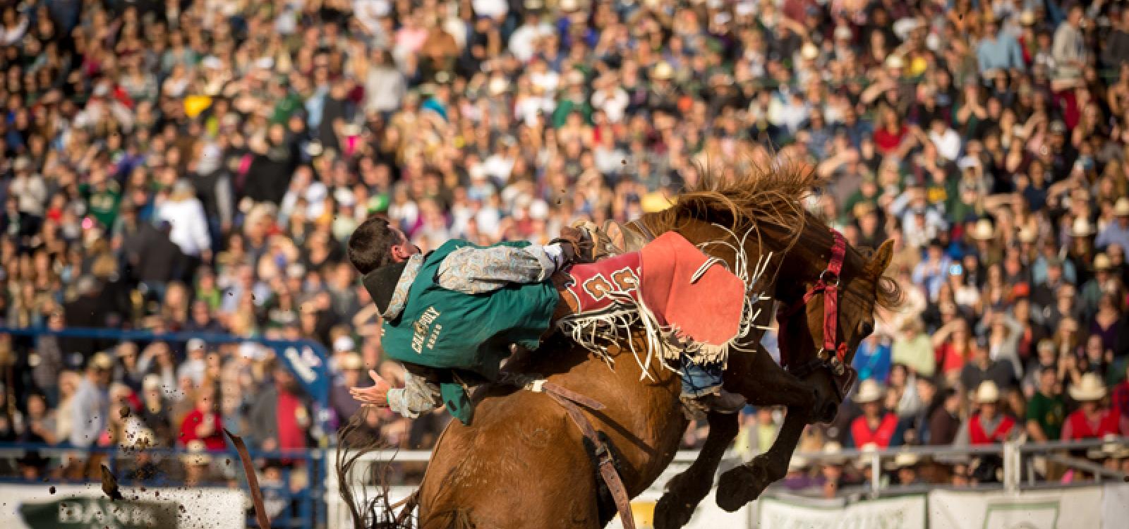 A student rides a horse as spectators watch during the 2018 Poly Royal Rodeo. 