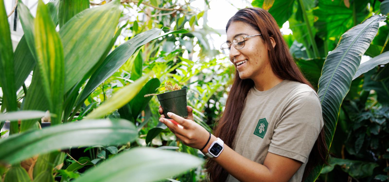 Biological sciences student Monique Alvarez inspects a plant in one of the Cal Poly Plant Conservatory's greenhouses.
