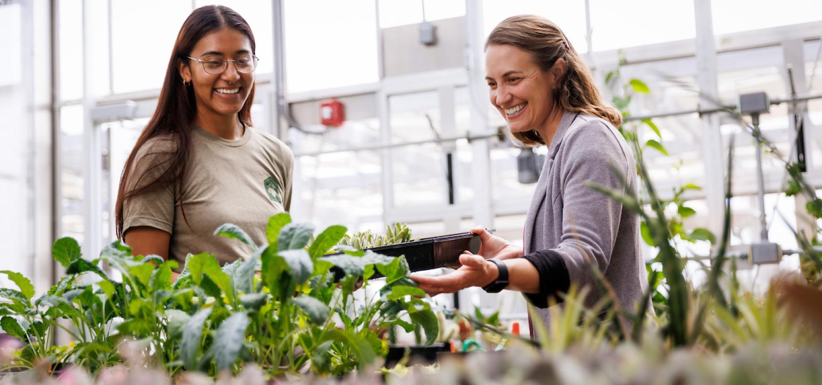 Biological sciences student Monique Alvarez and Jenn Yost share a laugh as they check on a crop of seedlings in the conservatory's research greenhouse. 