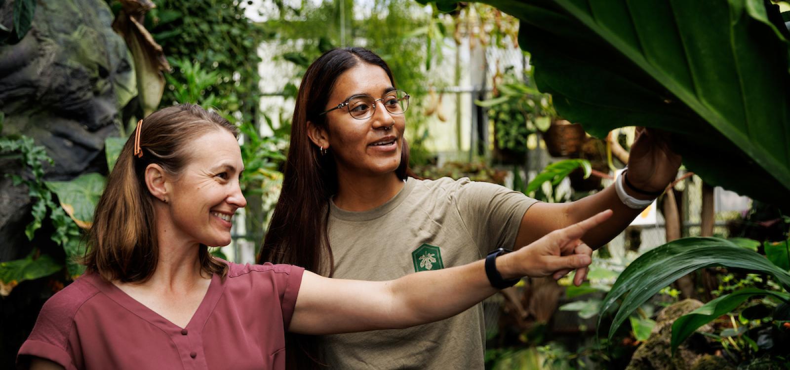 Professor Jenn Yost and biological sciences student Monique Alvarez study plants in one of the greenhouses. The three greenhouses each simulate a different environment: the warm tropics, a cloud forest and a desert.