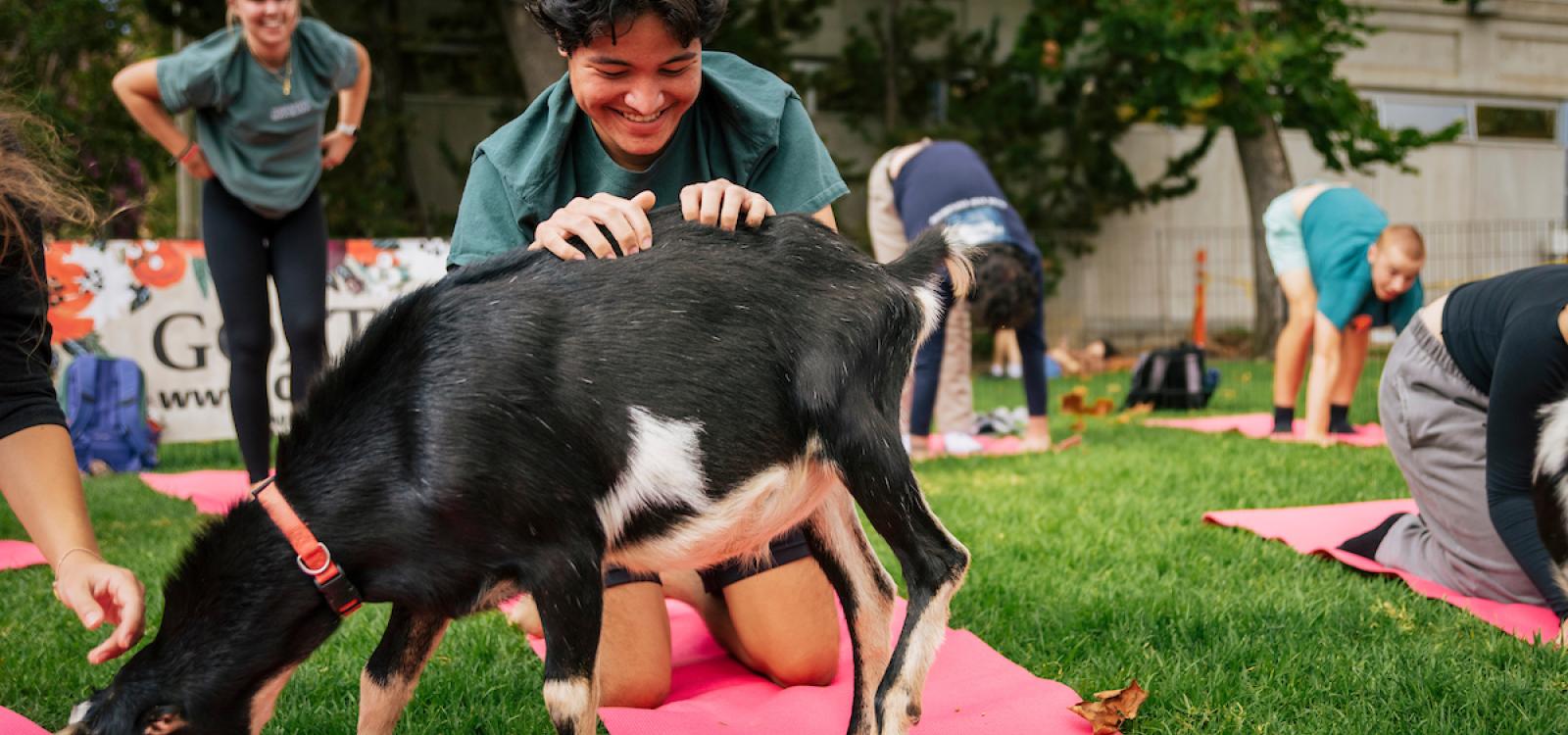 A student smiles and pets a goat during a goat yoga class on Dexter Lawn in October.