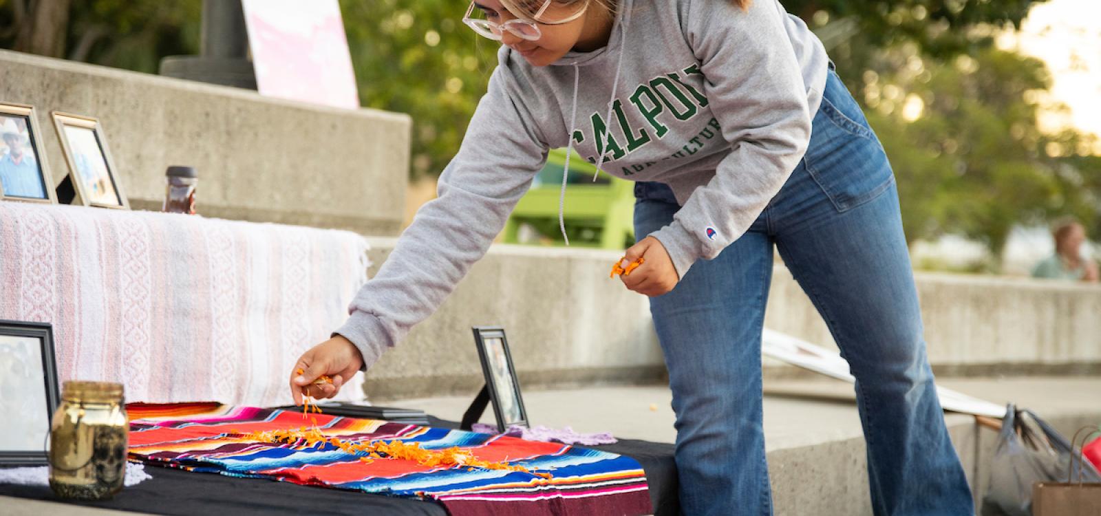 Second-year agricultural communications student Daniela Rodriguez-Ruiz scatters marigold petals on the ofrenda. Marigolds, or cempasúchil, represent the warmth of the sun and help guide the souls back to life with the living. 