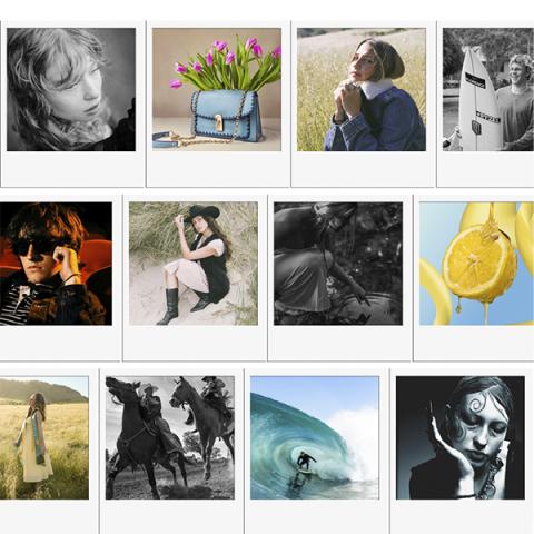 A grid showing various examples of photos illustrating the styles of photography that will be displayed at the art show.