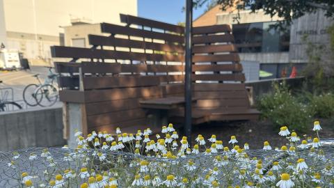 The bench with flowers in the foreground