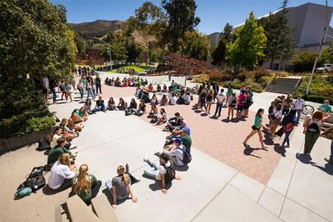 Students gather on Mustang Way.