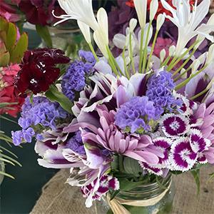 A bouquet of purple flowers.