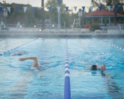 People swimming in lanes in a pool.