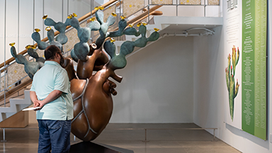 Photo of Cal Poly staff from the CLFSA on a HSI Mini-Grant funded visit to the Cheech Marin Center for Chicano Art and Culture in Spring 2025.
