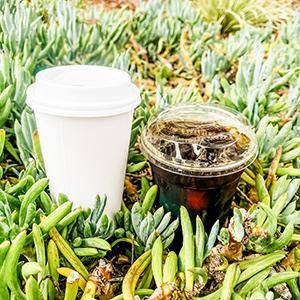 A cup of hot coffee and a cup of iced coffee on the grass. 
