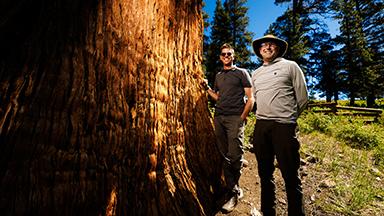 Matt Ritter (L) and Michael Kauffmann (R) visiting the world’s largest juniper in the Sierra Nevada, California.