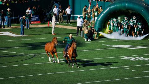 Chase the mustang running onto Mustang Memorial Field during a football game.