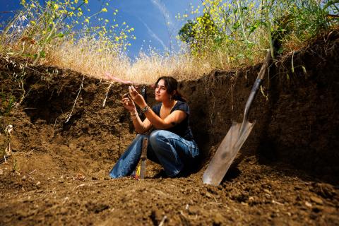 A student sits in a dirt pit with flowering grasses at the top. They examine some soil.