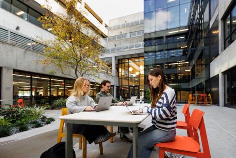 Students study in the redesigned courtyard area of the library.