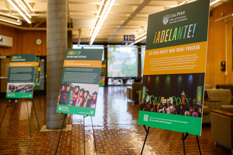 Photo of various posters highlighting different HSI Mini Grant recipients.