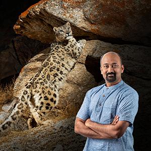 A graphic of filmmaker Sandesh Kadur standing in front of a closeup of a wild cat.
