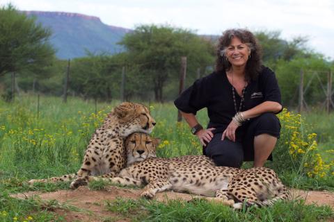 Laurie Marker sitting next to two cheetahs.