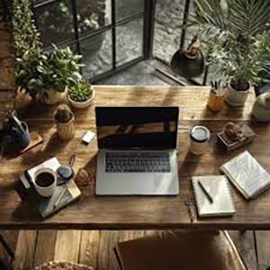 A laptop on a wooden desk with plants and other personal items.