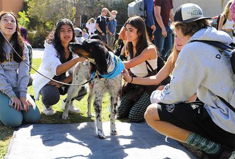 Students smile and laugh while kneeling to gather around a dog on Dexter Lawn.