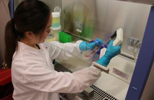 A student in lab gear works in the Frost Center's Cell Therapy Lab.