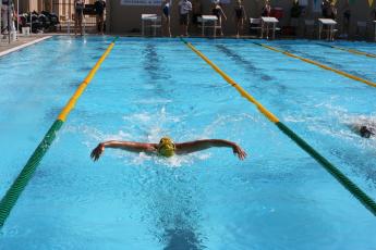 A swimmer swims down a pool lane.
