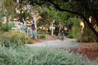 Two students use hand tools in a garden