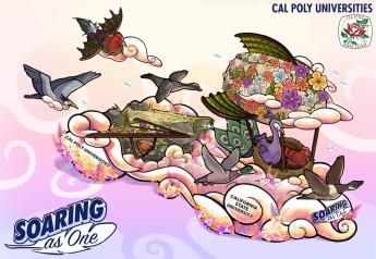 An artist's rendering of the 2027 Cal Poly Universities Rose Float design, "Soaring as One," which depicts a menagerie of birds.